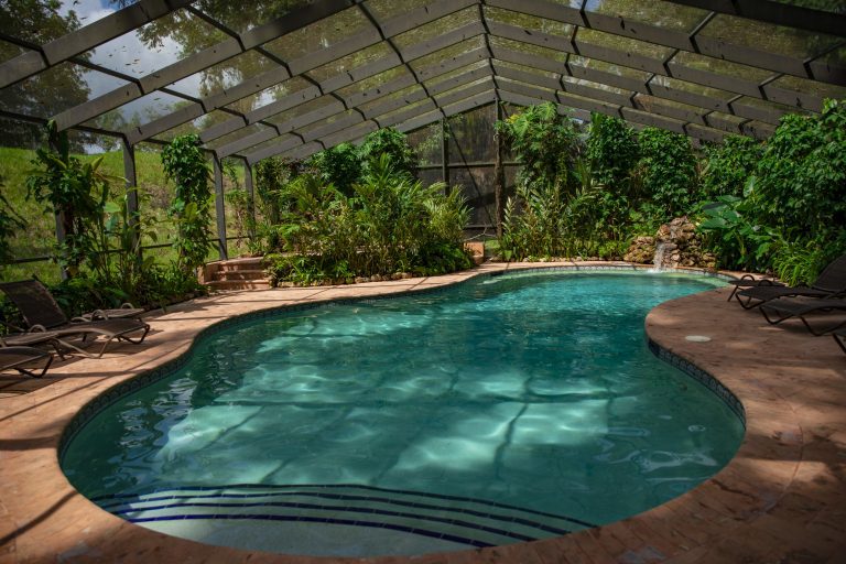 Screened-in Swimming pool
