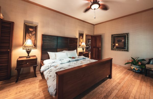 Rainforest lodge Belize