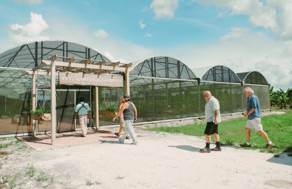 Veg-Roots & Shoots Farm