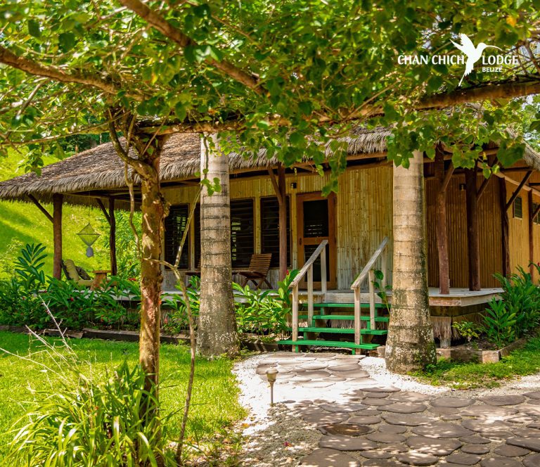 belize jungle lodges