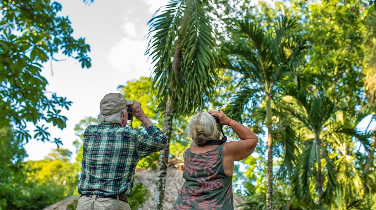 birding festival Belize