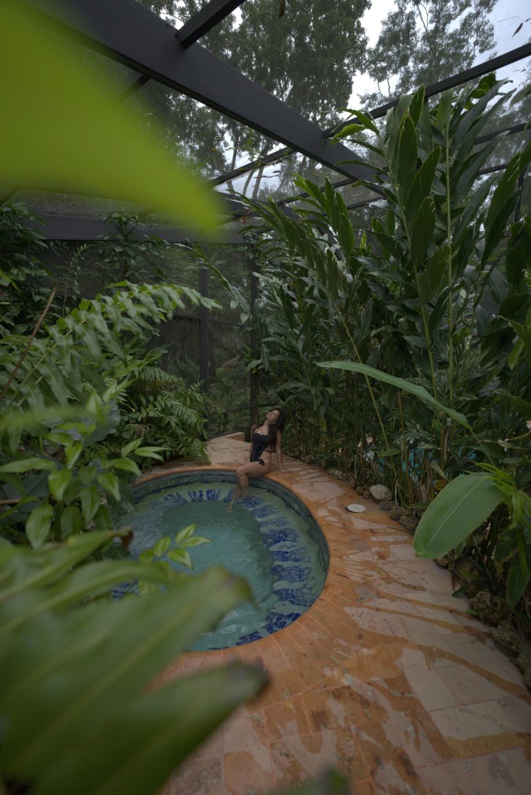 Belize Rainforest