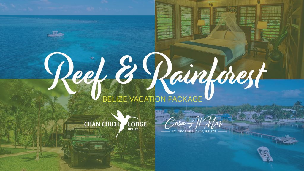 Cover Photo of Chan Chich Lodge