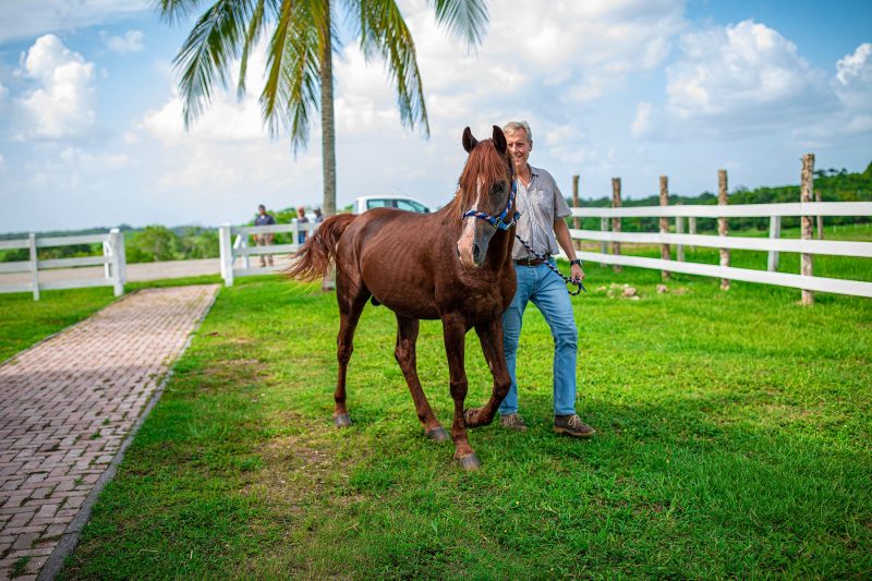 explore Belize on horseback