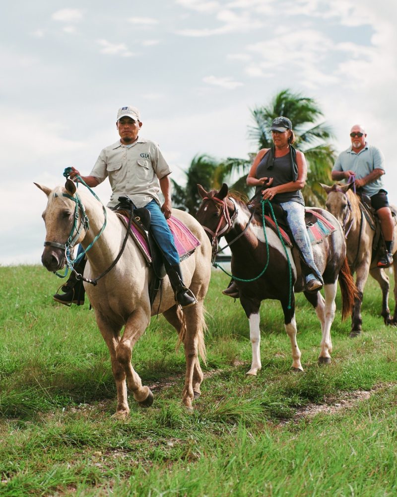 Belize Jungle Experience