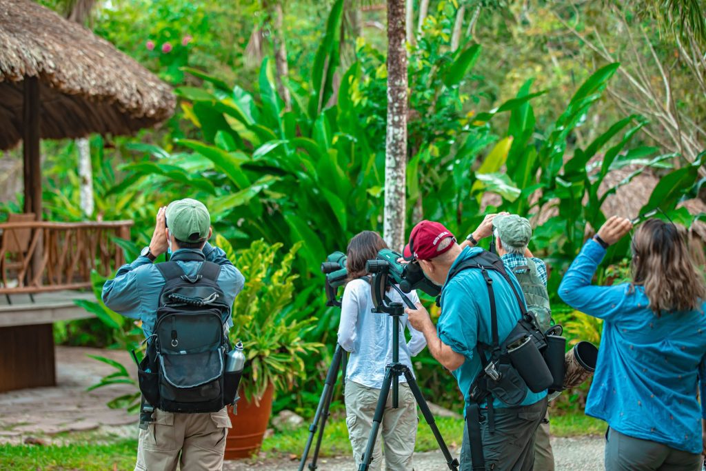 birdwatching destinations 2025