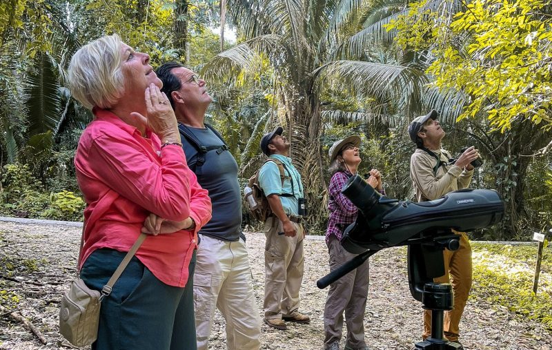 Birding in Belize