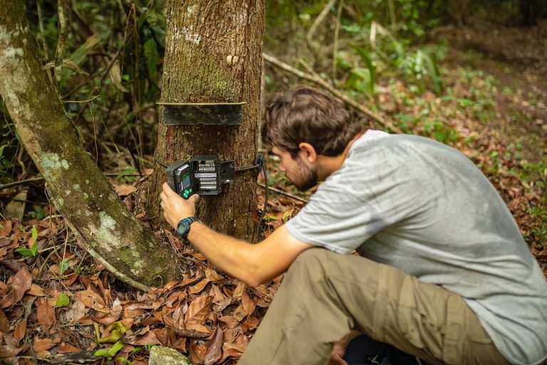 what to pack for Belize jungle