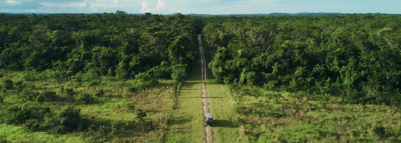30,000 Acres of Protected Rainforest